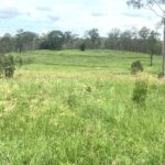 1909REINKE_501739_17