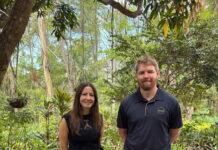 Cancer increases leads. Bloomhill to seek more funds