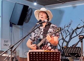 Guy plays country at Yandina