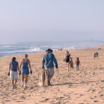 Hatchlings_527239_02