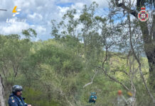 LifeFlight 2025 rescue record