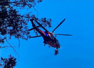 Investigation into gyro crash