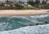 Sunshine Beach boosts safety capacity