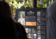 Robert Irwin unveils photo gallery