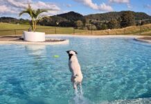 A place to roam free