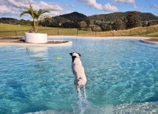 A place to roam free