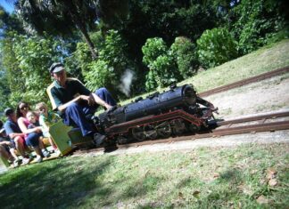 Mini Trains chug away