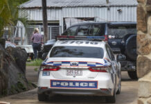 Shots fired, man detained