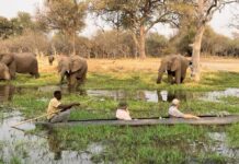 Retirement Opens Doors To Adventure