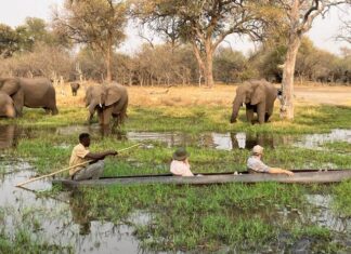 Retirement Opens Doors To Adventure