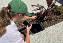 Check for water leaks