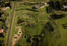 The power and the passion