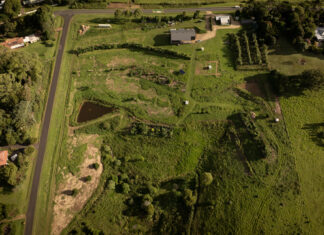 The power and the passion