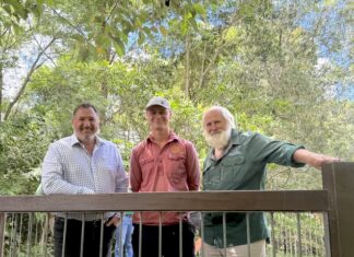 Proudly looking after the Mary