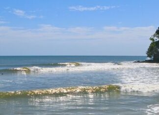 Surfing culture muscles up