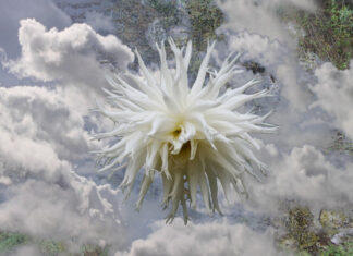 Brothers Gruchy in exhibition