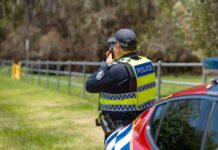 Young speedster sprung