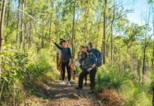 Glowup for birdwatching in the Scenic Rim