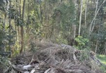Warning over illegal dumping