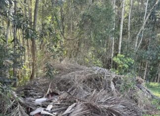 Warning over illegal dumping