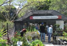 Gardens need plan for living collections