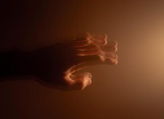 Noosa Fights Parkinson’s