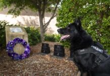 Tribute paid to police service animals