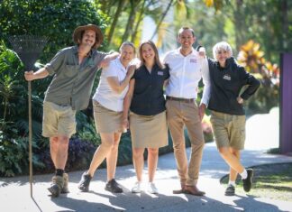 Tourism subsidy for businesses