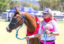 Pink Ride tackles cancer