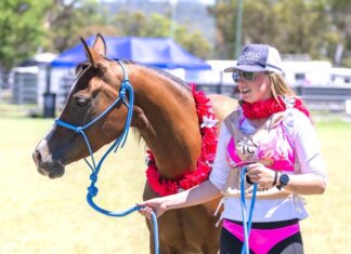 Pink Ride tackles cancer