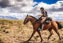 Hoofbeats around the world