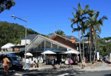 Risk Management for Noosa Businesses: Sailing Through Peak and Off-seasons
