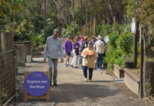 Sunshine Butterflies opens its doors