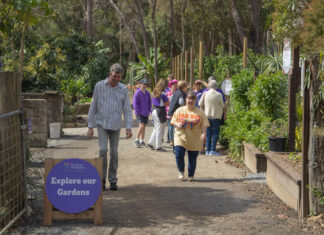 Sunshine Butterflies opens its doors