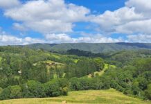 Council’s land grab