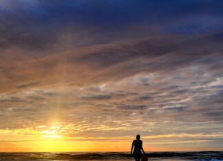 Noosa snappers urged to shine